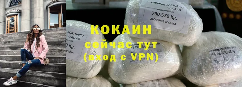 МЕГА как зайти  продажа наркотиков  Ленск  COCAIN Fish Scale 