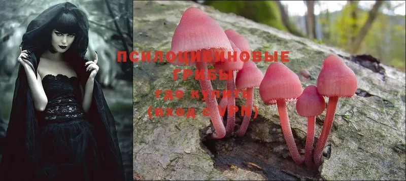 Галлюциногенные грибы MAGIC MUSHROOMS  Ленск 