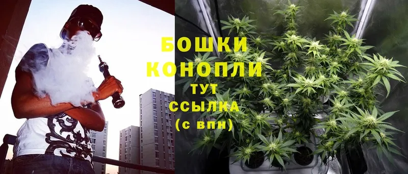 Канабис SATIVA & INDICA  Ленск 